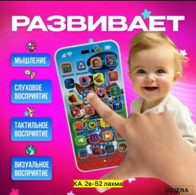 Одежда