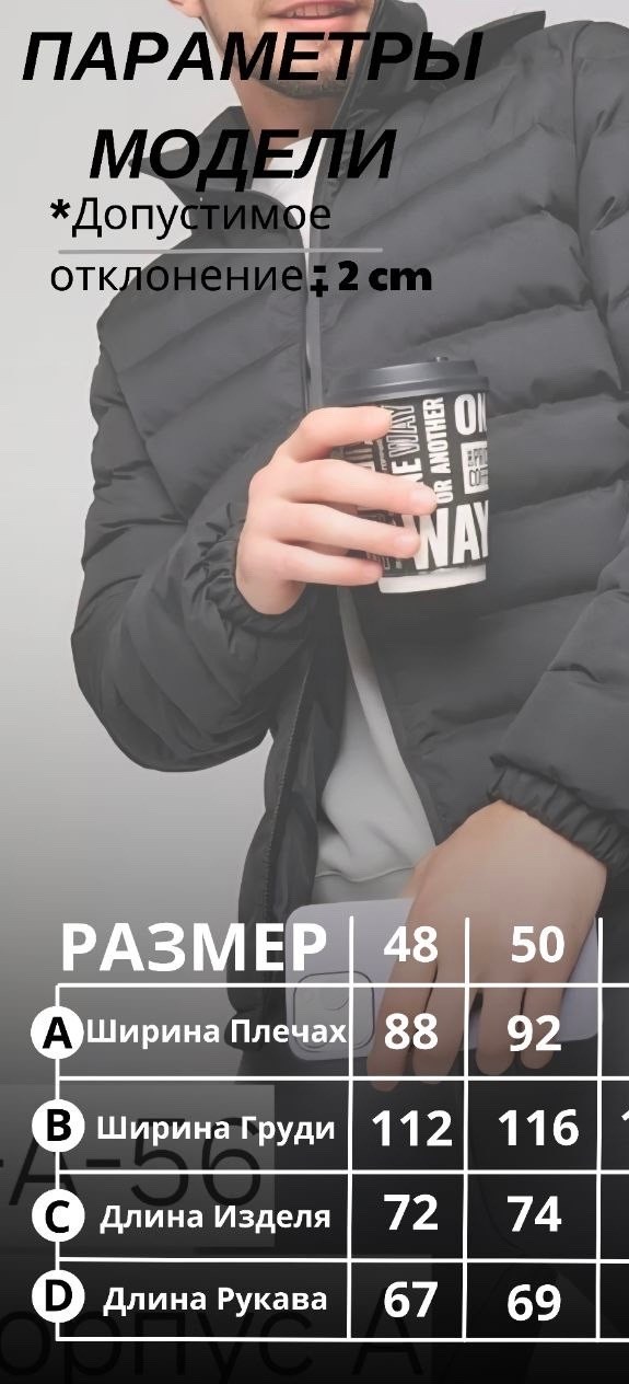 пуховик the north face,куртка пуховик the north face,куртка зимняя мужская,куртка мужскaя демисезонная,мужские пуховики the north face