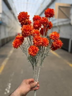 Новый год