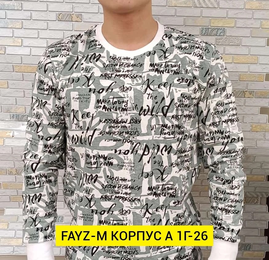 толстовка мужская,кофта мужская,одежда толстовка,тонкая толстовка,толстовка в стиле