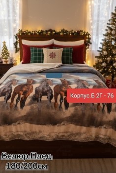 Одежда