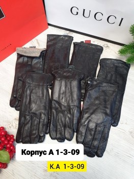 Одежда