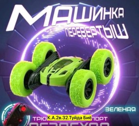 Одежда
