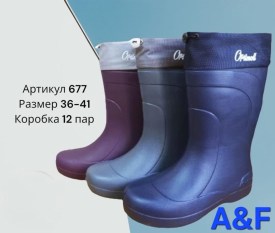 Сапоги
