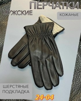 Одежда
