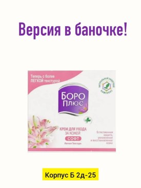 Одежда