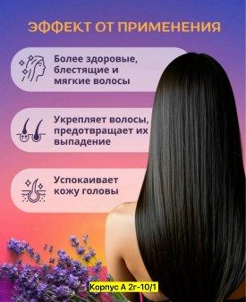 Одежда