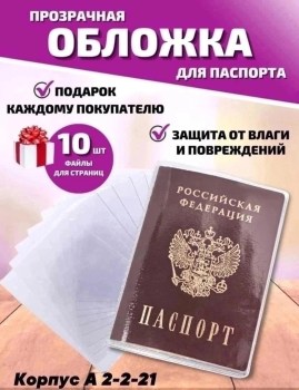 Одежда