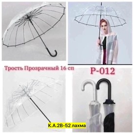 Одежда
