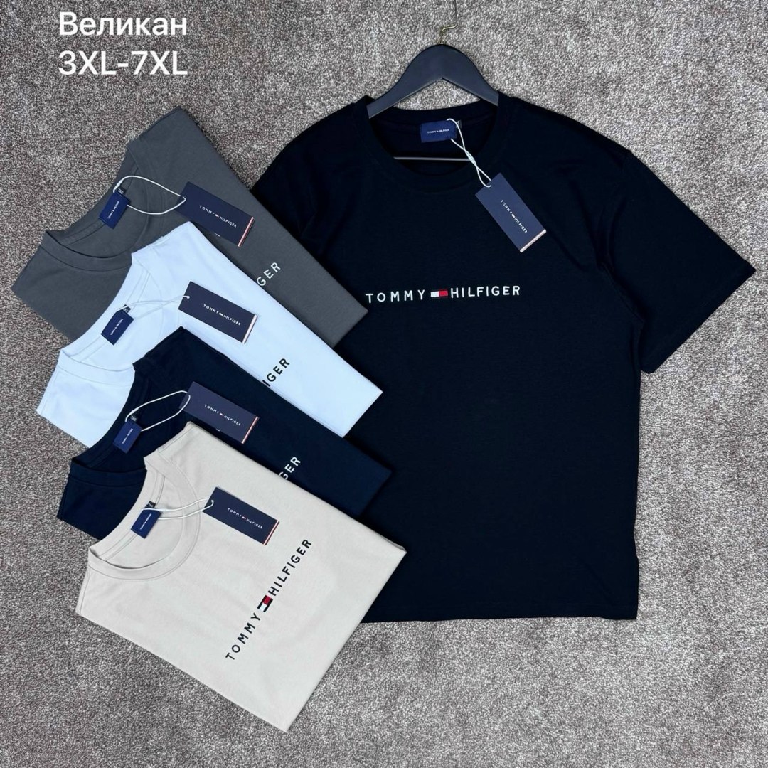 футболка мужская tommy hilfiger,футболка tommy hilfiger,футболки для мужчин,мужская футболка