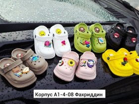 Сланцы