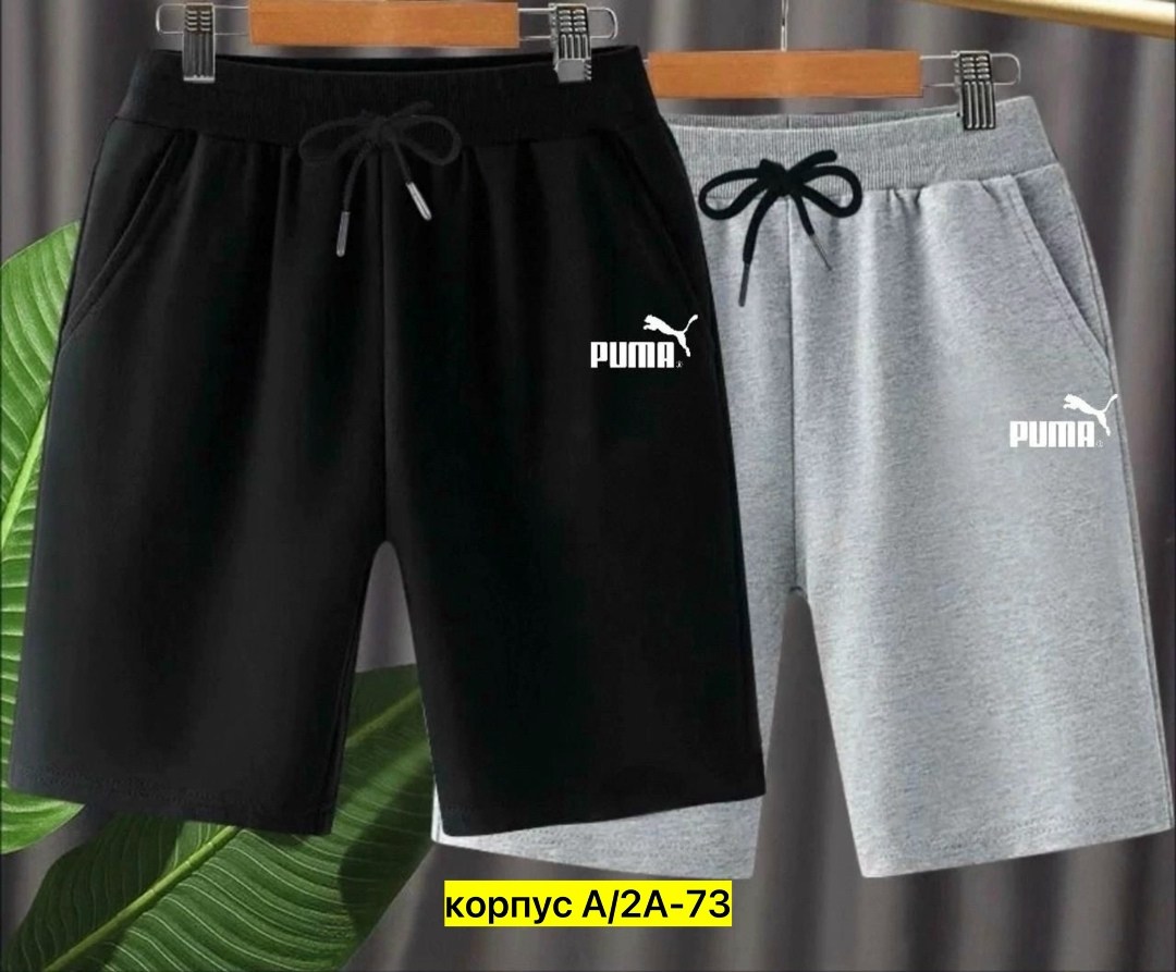шорты the north face,шорты мужские,костюм спортивный мужской шорты,мужские шорты the north face standart short light,шорты для мальчик