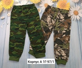 Штаны