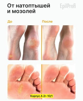 Одежда
