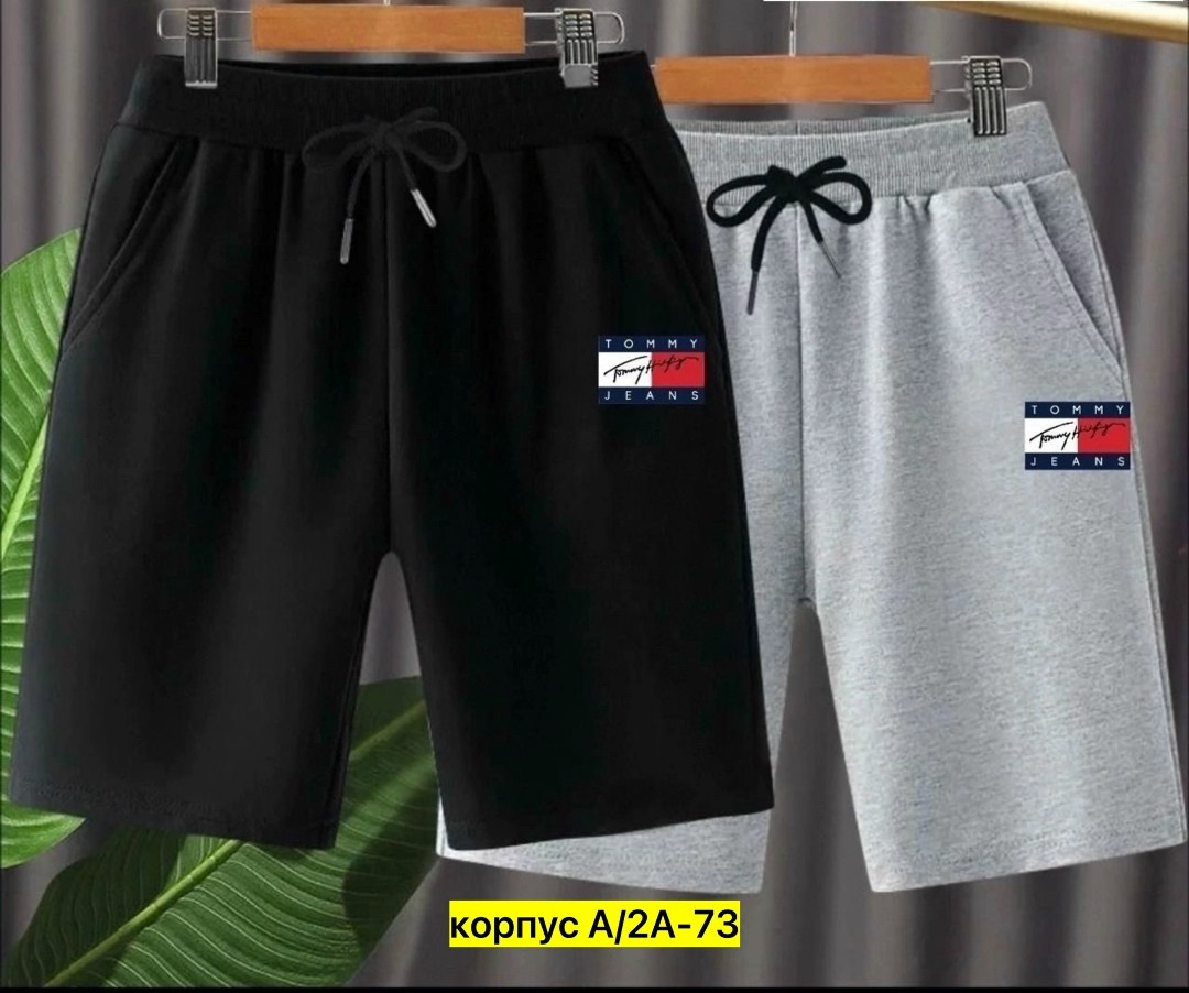 шорты the north face,шорты мужские,костюм спортивный мужской шорты,мужские шорты the north face standart short light,шорты для мальчик
