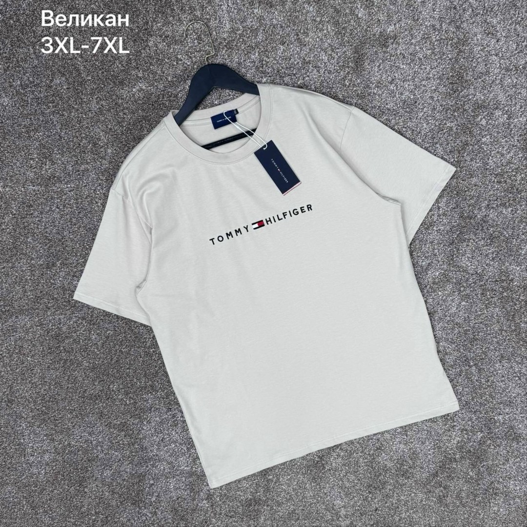 футболка мужская tommy hilfiger,футболка tommy hilfiger,футболки для мужчин,мужская футболка