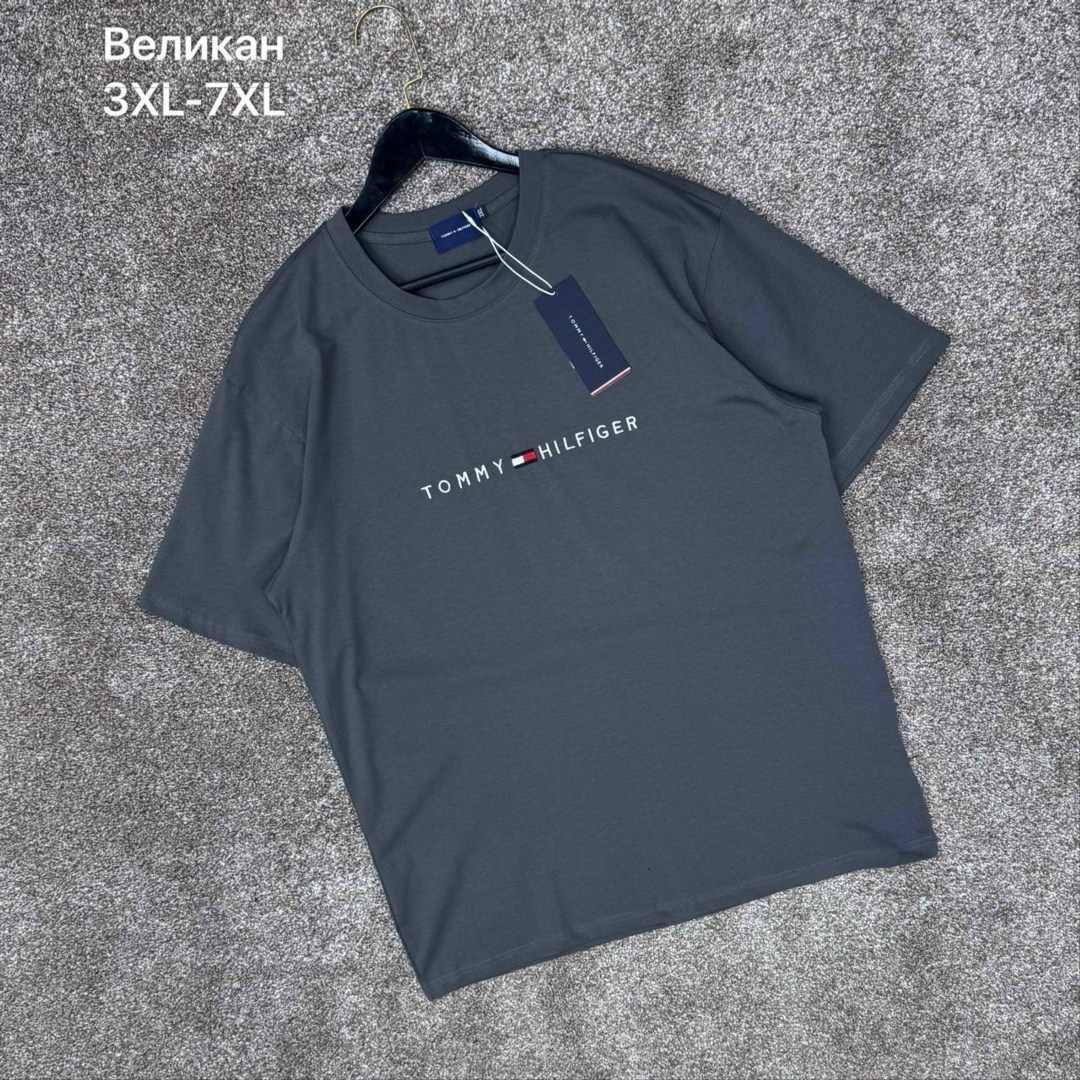 футболка мужская tommy hilfiger,футболка tommy hilfiger,футболки для мужчин,мужская футболка