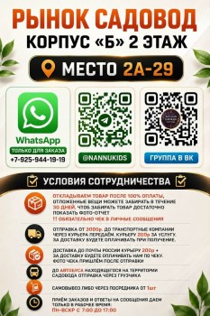 Одежда