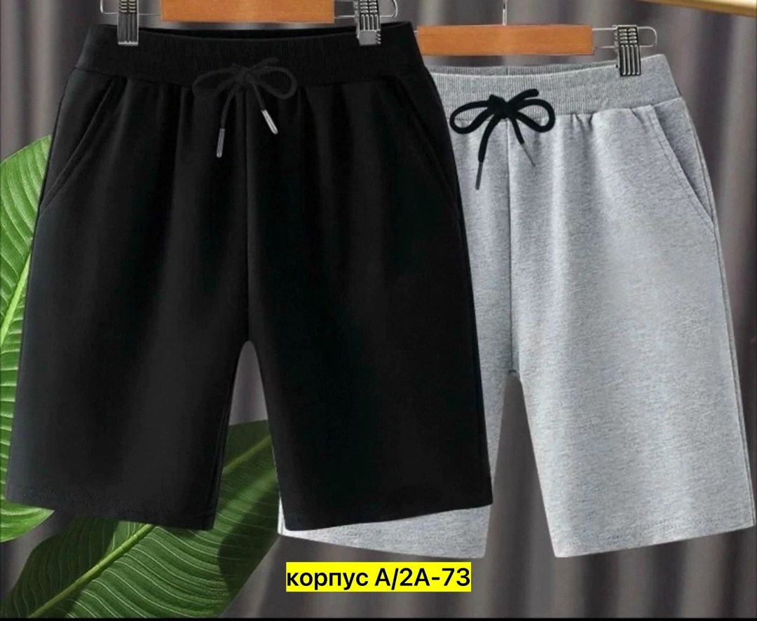 шорты the north face,шорты мужские,костюм спортивный мужской шорты,мужские шорты the north face standart short light,шорты для мальчик