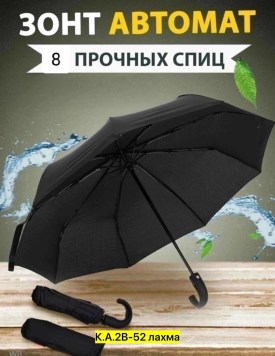 Одежда