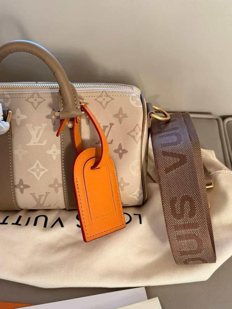 сумка louis vuitton,louis vuitton сумка на плечо,сумка женская louis vuitton,модная женская сумка,луи виттон сумка
