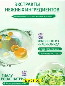 Одежда