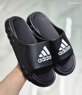 Сланцы