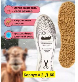 Одежда