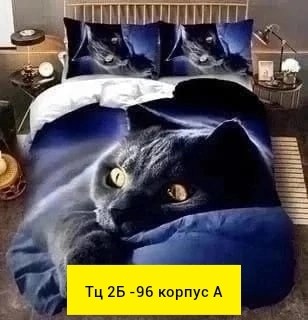 комплект постельного белья,комплект постельное белья кошка,постельного белья,комплект постельного белья поплин,постельное белье поплин евро