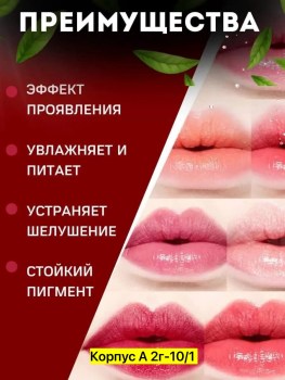 Одежда