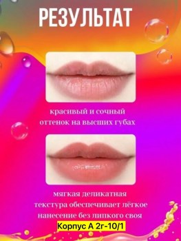Одежда