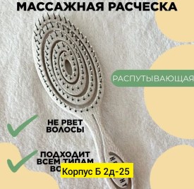Одежда