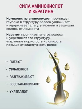 Одежда