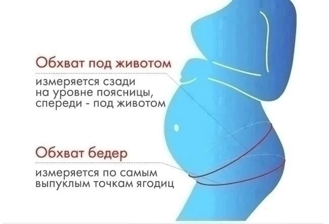 обхват живота при беременности,дородовый бандаж крейт д423,обхват живота по неделям беременности,обхват живота по неделям,бандаж для беременных
