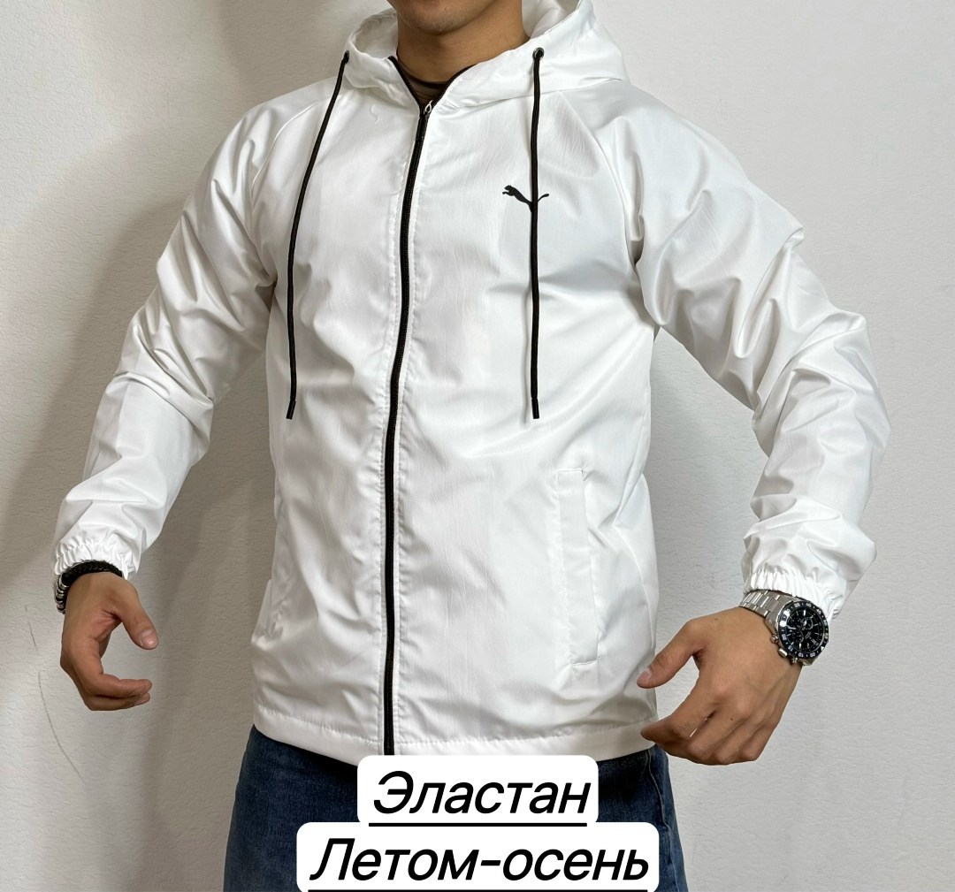 ветровка мужская puma,ветровка puma,ветровка,ветровка мужская куртка,ветровка резервед мужская