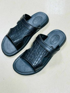 Сланцы