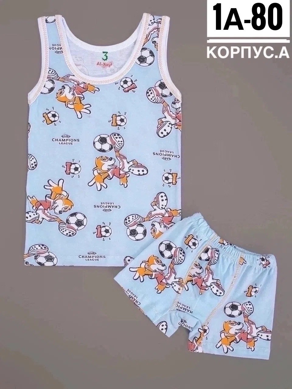 комплект нижнего белья для мальчика,комплект майка и трусы для мальчика,майка трусы комплект,майка и трусы,комплект нижнее белье