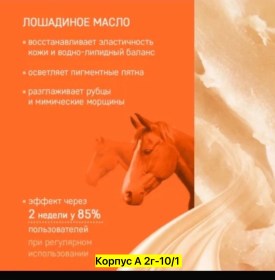 Одежда