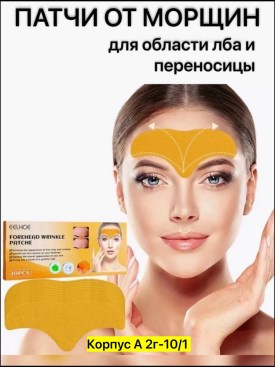 Одежда