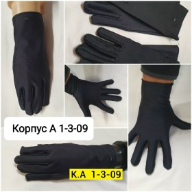 Одежда