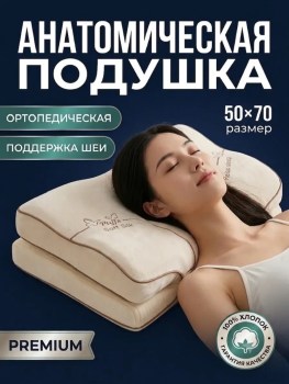 Одежда