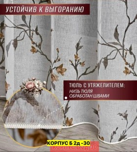 Одежда