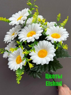 Новый год
