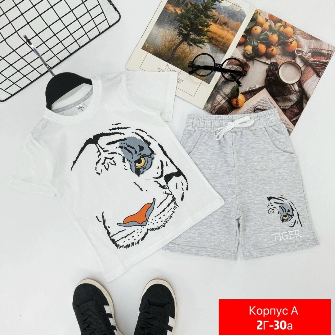 комплект одежды,костюм для мальчика,комплект одежды для мальчика,одежда мальчика,костюм для мальчика футболка и шорты