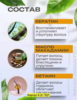 Одежда