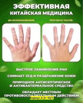 Одежда