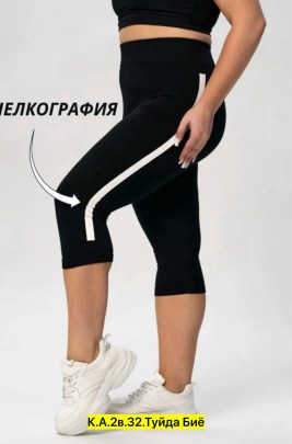 Бриджи