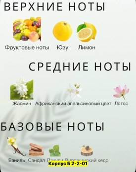 Новый год