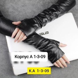 Одежда