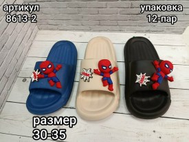 Сланцы